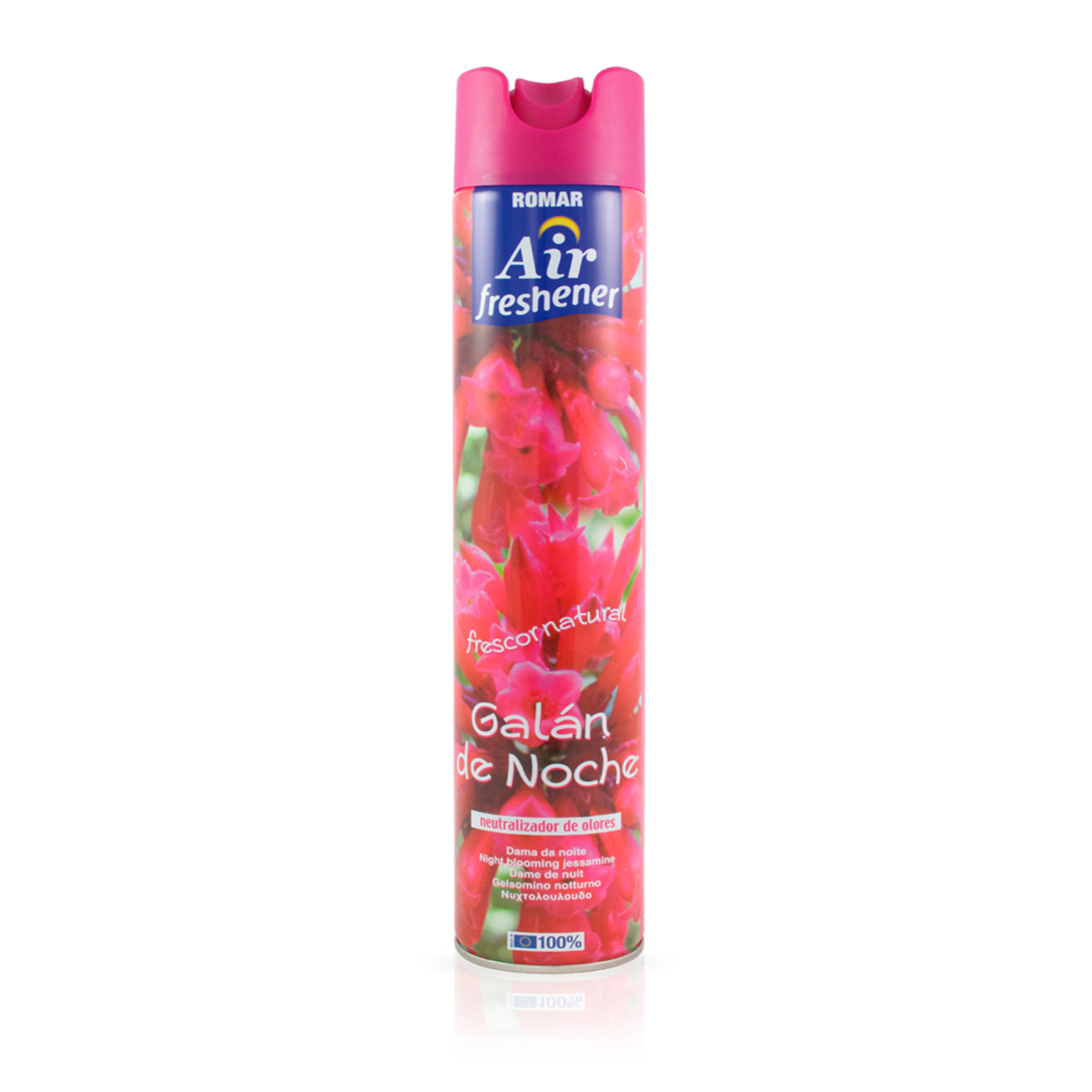 household-Air Freshener-300ml - Violet